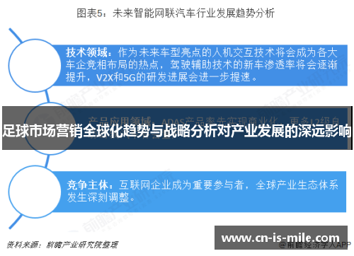 足球市场营销全球化趋势与战略分析对产业发展的深远影响 足球市场营销全球化趋势与战略分析对产业发展的深远影响