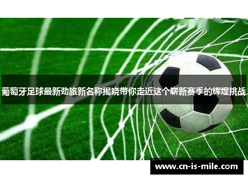 葡萄牙足球最新劲旅新名称揭晓带你走近这个崭新赛季的辉煌挑战 葡萄牙足球最新劲旅新名称揭晓带你走近这个崭新赛季的辉煌挑战
