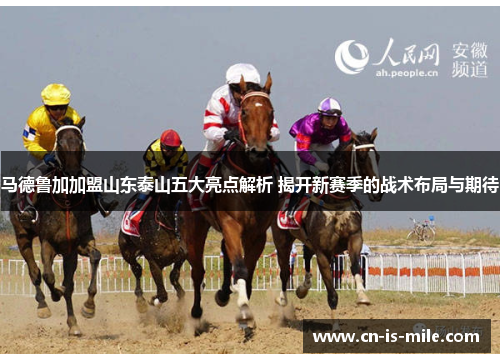 马德鲁加加盟山东泰山五大亮点解析 揭开新赛季的战术布局与期待 马德鲁加加盟山东泰山五大亮点解析 揭开新赛季的战术布局与期待