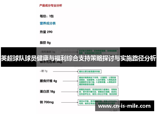 英超球队球员健康与福利综合支持策略探讨与实施路径分析