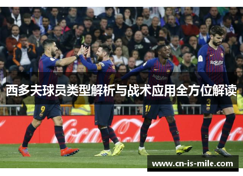 西多夫球员类型解析与战术应用全方位解读 西多夫球员类型解析与战术应用全方位解读