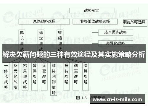 解决欠薪问题的三种有效途径及其实施策略分析
