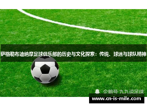 萨格勒布迪纳摩足球俱乐部的历史与文化探索：传统、球迷与球队精神