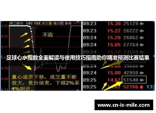足球心水指数全面解读与使用技巧指南助你精准预测比赛结果 足球心水指数全面解读与使用技巧指南助你精准预测比赛结果