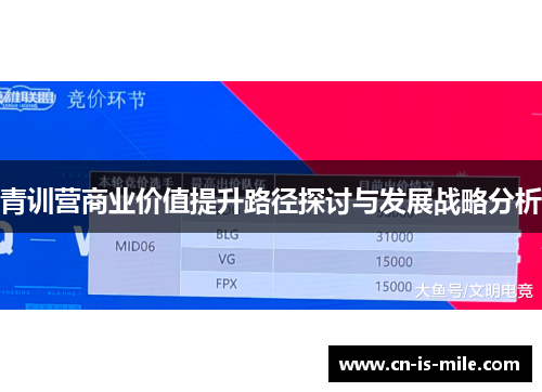 青训营商业价值提升路径探讨与发展战略分析 青训营商业价值提升路径探讨与发展战略分析